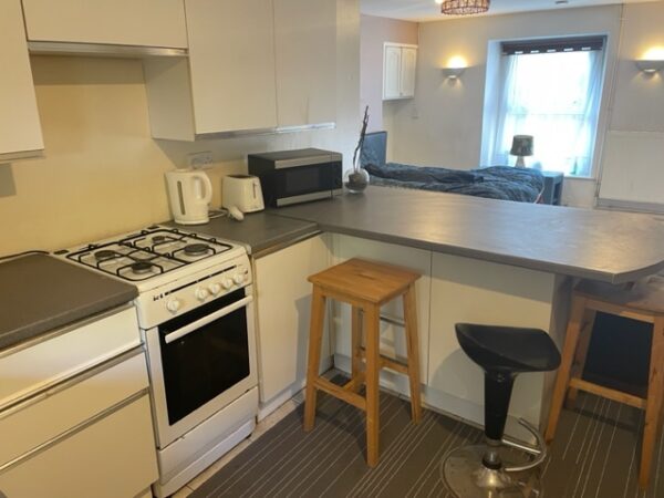 Ground Floor Flat, 74 St Helens Avenue, Brynmill, Swansea, SA1 4NN