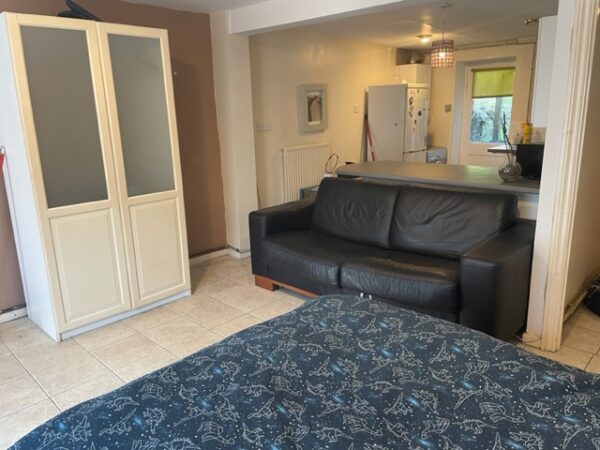 Ground Floor Flat, 74 St Helens Avenue, Brynmill, Swansea, SA1 4NN