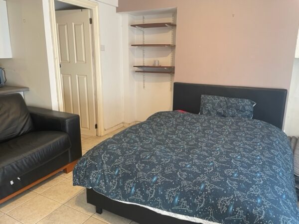 Ground Floor Flat, 74 St Helens Avenue, Brynmill, Swansea, SA1 4NN