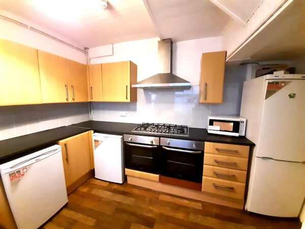 20 Rhyddings Park Road, Brynmill, Swansea, SA2 0AQ