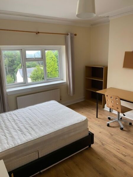 6 BED - 31 Beechwood Road, Uplands, Swansea, SA2 0JD