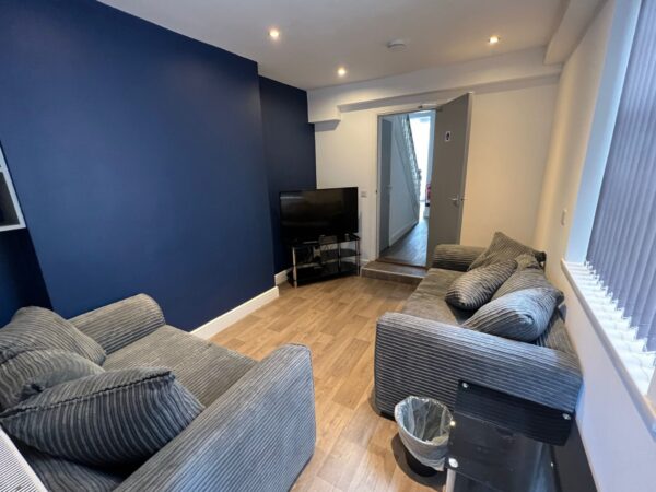 4 BED - 44 Park Place, Brynmill, Swansea, SA2 0DJ