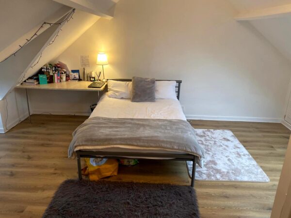 6 BED - 17 Mirador Crescent, Uplands, Swansea, SA2 0QX