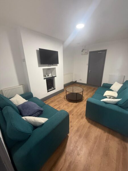 20 Alexandra Terrace, Brynmill, Swansea, SA2 0DU